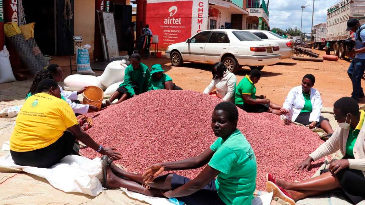 Women group grows grains business into regional outfit