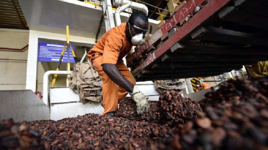 Ondo Governor to Unveil N15bn Cocoa Processing Plant