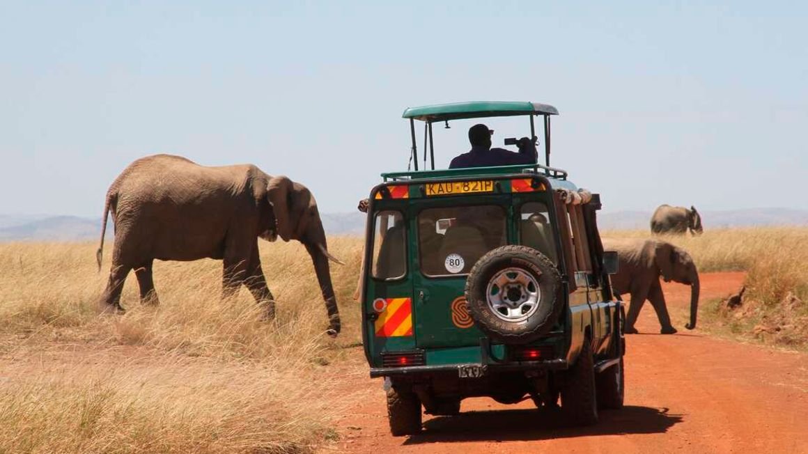 Kenya named top safari destination in Africa