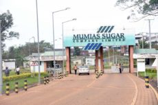 Uganda-based Rai family wins Mumias Sugar 20-year lease
