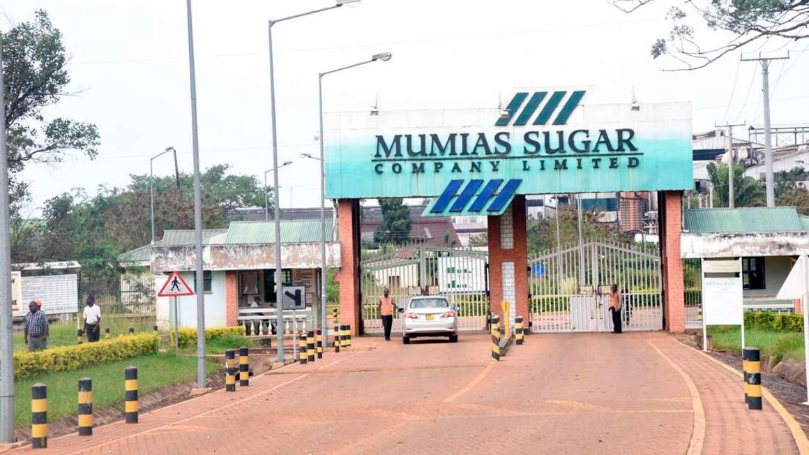 Uganda's Sarrai Group wins Mumias Sugar 20-year lease