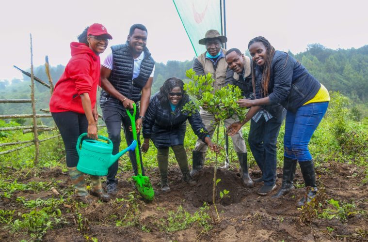 Safaricom plants 10,000 additional trees in its 1 million trees reforestation plan