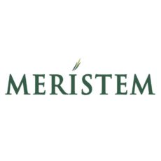 Lafarge, Others Join Meristem Value Index as FBN, Honeywell Exit