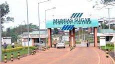 Top bidders protest Mumias leasing to Ugandan company