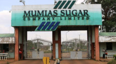 Court extends orders on contested Mumias lease to March 14