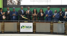 Industrial Goods Equities Drag NGX Index Down by 1.12%