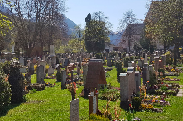 Glen Forest Cemetery Saga: Fresh Details Emerge