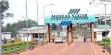 Judge cancels takeover of Mumias Sugar by Ugandan firm