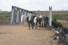 Sh25m bridge connecting Kiambu, Murang’a villages opened